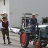 Maibaum 2013